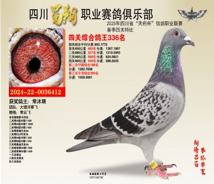 四川蜀翔四關(guān)鴿王336名