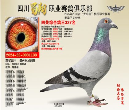 四川蜀翔四關(guān)鴿王337名