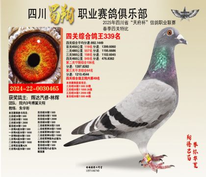 四川蜀翔四關(guān)鴿王339名