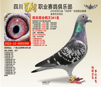 四川蜀翔四關(guān)鴿王341名