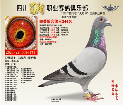 四川蜀翔四關(guān)鴿王344名