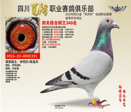 四川蜀翔四關(guān)鴿王349名