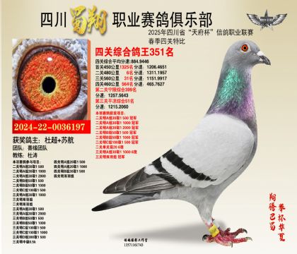 四川蜀翔四關(guān)鴿王351名