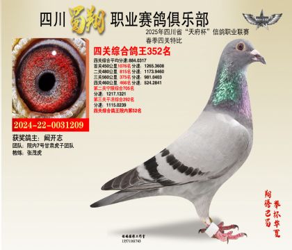 四川蜀翔四關(guān)鴿王352名