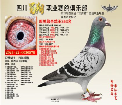 四川蜀翔四關(guān)鴿王353名