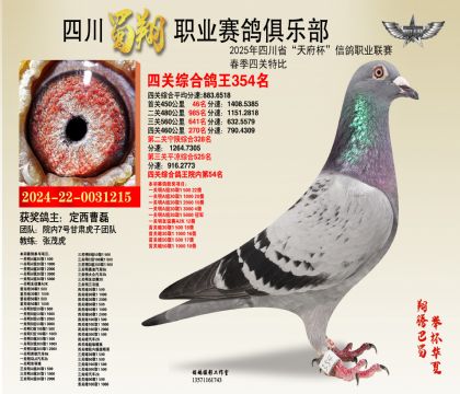 四川蜀翔四關(guān)鴿王354名