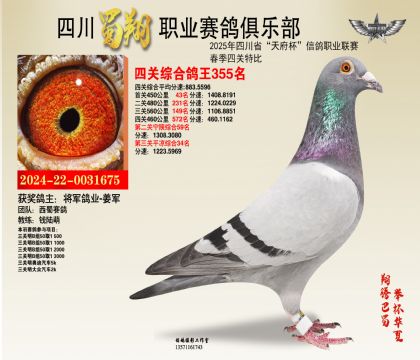 四川蜀翔四關(guān)鴿王355名