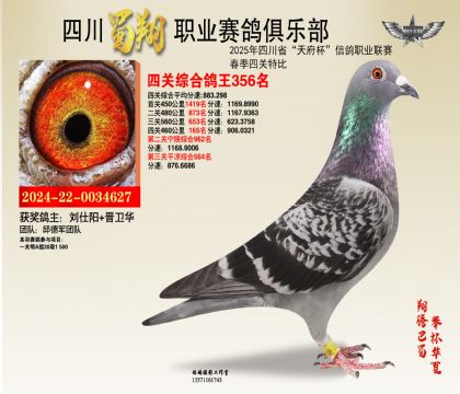四川蜀翔四關(guān)鴿王356名