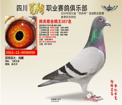 四川蜀翔四關(guān)鴿王357名