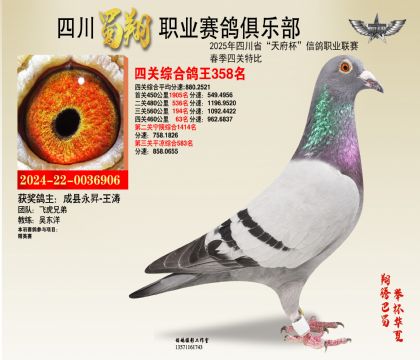 四川蜀翔四關(guān)鴿王358名
