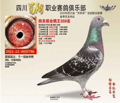 四川蜀翔四關(guān)鴿王359名
