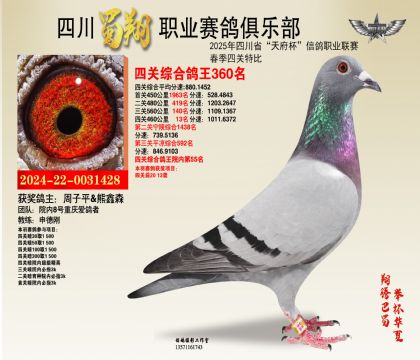 四川蜀翔四關(guān)鴿王360名