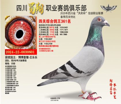 四川蜀翔四關(guān)鴿王361名