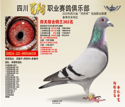 四川蜀翔四關(guān)鴿王362名