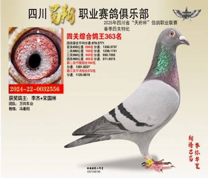 四川蜀翔四關(guān)鴿王363名