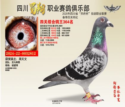 四川蜀翔四關(guān)鴿王364名