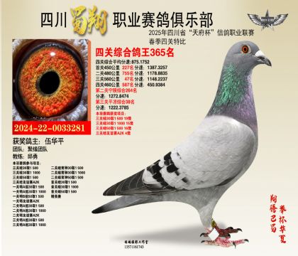 四川蜀翔四關(guān)鴿王365名