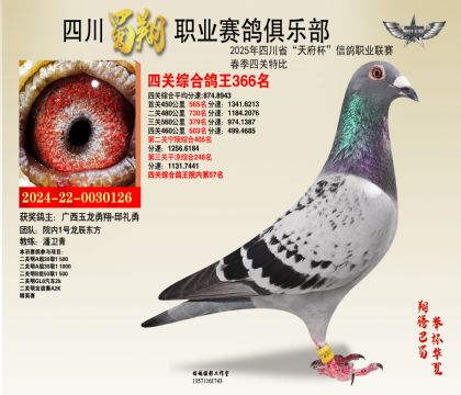 四川蜀翔四關(guān)鴿王366名