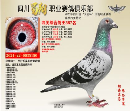 四川蜀翔四關(guān)鴿王367名