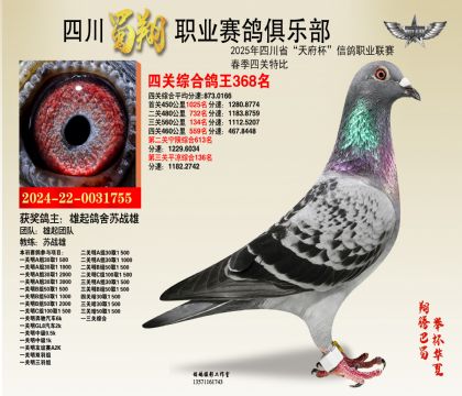 四川蜀翔四關(guān)鴿王368名