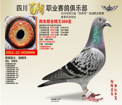 四川蜀翔四關(guān)鴿王369名