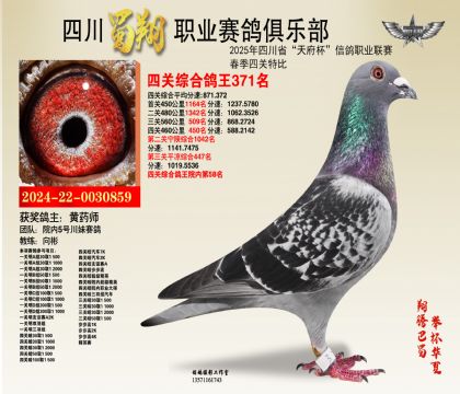 四川蜀翔四關(guān)鴿王371名