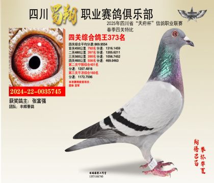 四川蜀翔四關(guān)鴿王373名