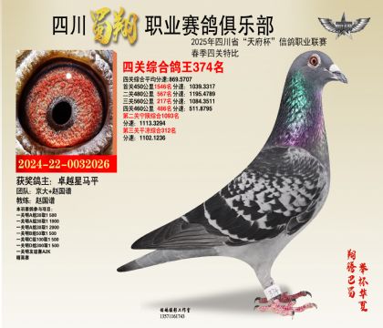 四川蜀翔四關(guān)鴿王374名