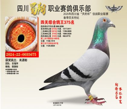 四川蜀翔四關(guān)鴿王375名