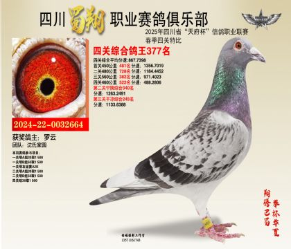 四川蜀翔四關(guān)鴿王377名