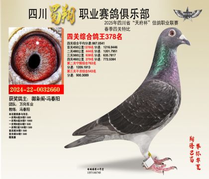 四川蜀翔四關(guān)鴿王378名