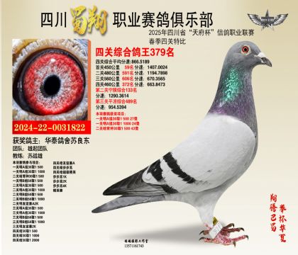 四川蜀翔四關(guān)鴿王379名