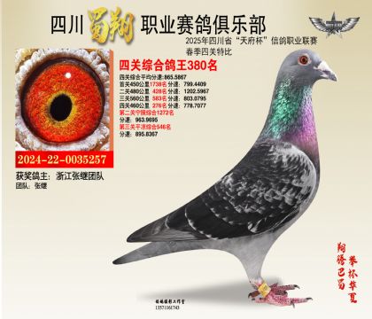 四川蜀翔四關(guān)鴿王380名