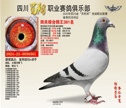 四川蜀翔四關(guān)鴿王381名