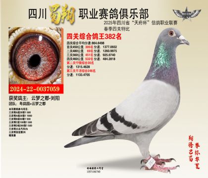 四川蜀翔四關(guān)鴿王382名