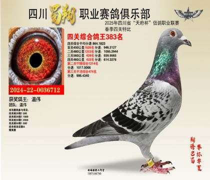 四川蜀翔四關(guān)鴿王383名