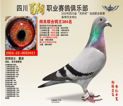 四川蜀翔四關(guān)鴿王384名