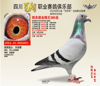 四川蜀翔四關(guān)鴿王385名