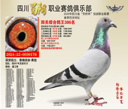 四川蜀翔四關(guān)鴿王386名