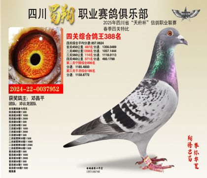 四川蜀翔四關(guān)鴿王388名