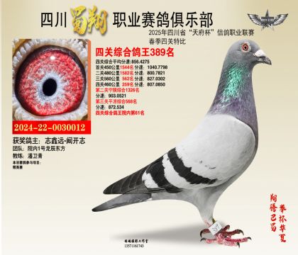 四川蜀翔四關(guān)鴿王389名