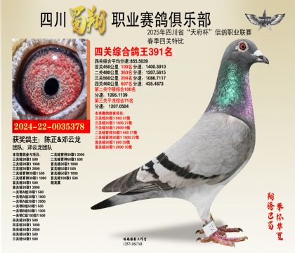 四川蜀翔四關(guān)鴿王391名