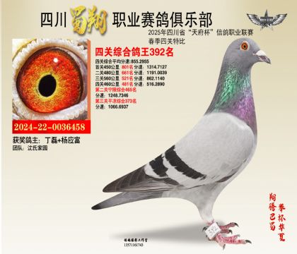四川蜀翔四關(guān)鴿王392名