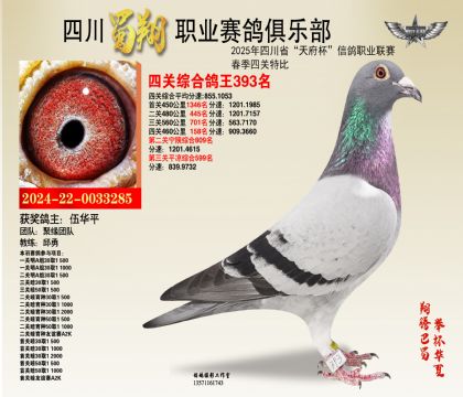 四川蜀翔四關(guān)鴿王393名