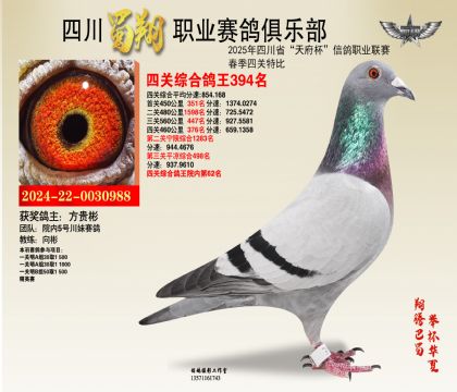 四川蜀翔四關(guān)鴿王394名