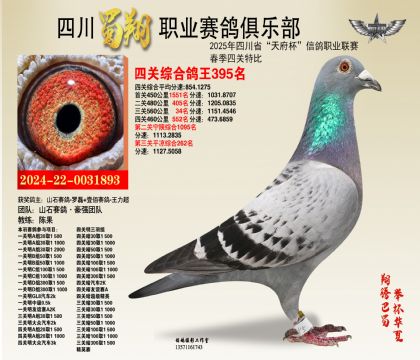 四川蜀翔四關(guān)鴿王395名