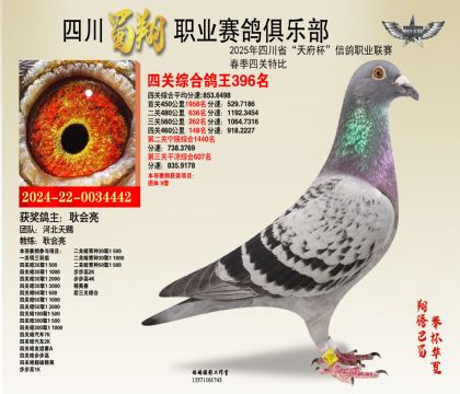 四川蜀翔四關(guān)鴿王396名