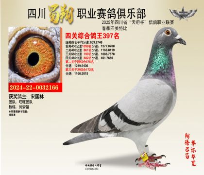 四川蜀翔四關(guān)鴿王397名