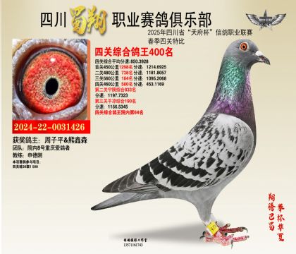 四川蜀翔四關(guān)鴿王400名
