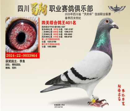 四川蜀翔四關(guān)鴿王401名
